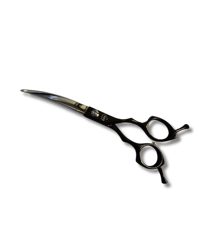 \"super Seasar\" スーパーシーザー アガベ チタノタ シーザー 選抜（スーパーシーザー） | HARENOHI-PLANTS